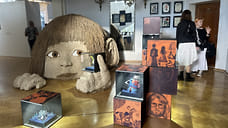 В Чебоксарах у домов выросли крылья