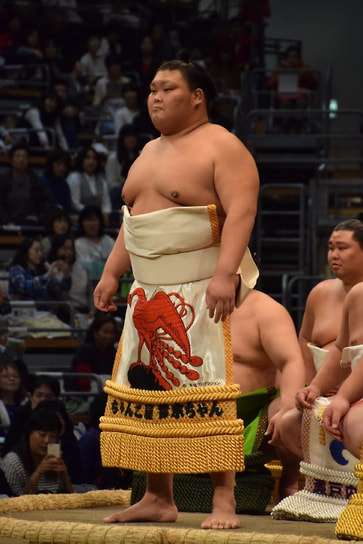 Профессиональный борец сумо Дайкихо Масахиро