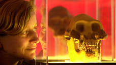 Древние леопарды сбросили человека с вершины пищевой цепи