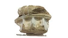 Фрагмент древней колонны возвращен в Грецию из Германии