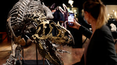 Археологи нашли самую длинную цепочку следов динозавров