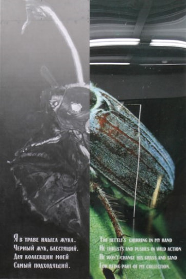 Ян Гинзбург. «Жук»