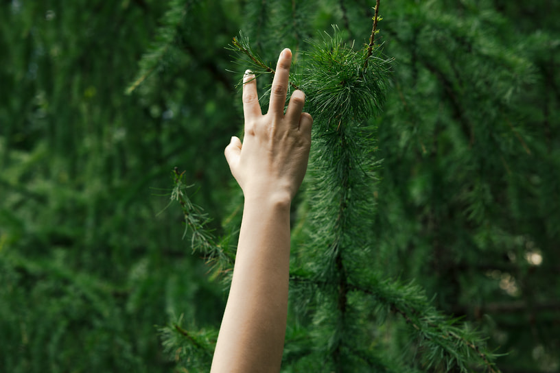 Исследовательский проект Музея криптографии и Хлебозавода «Город говорит»