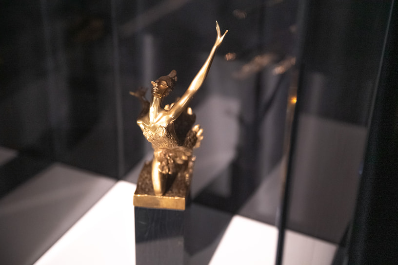 Экспозиция выставки «Плисецкая. Полюс магии» в Рязанском историко-архитектурном музее-заповеднике