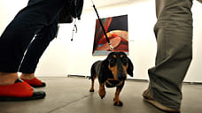 В пяти музеях Москвы появятся зоны для домашних животных