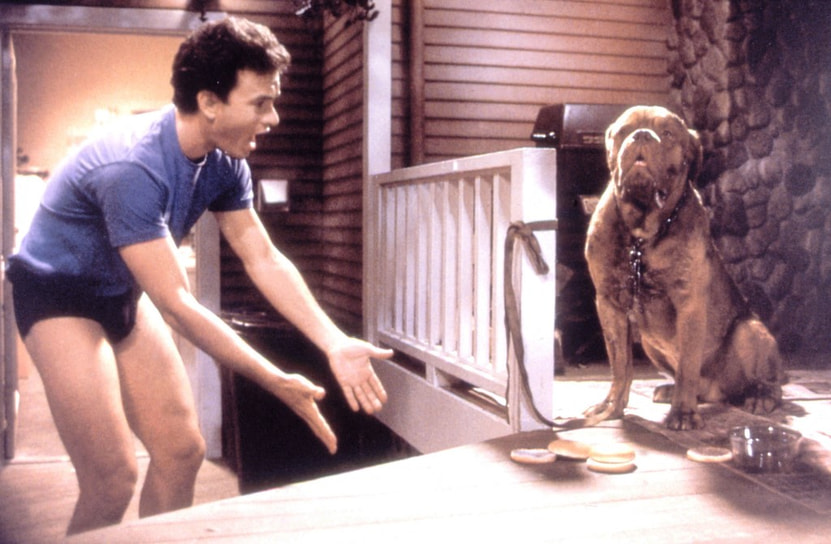 Кадр из фильма «Тернер и Хуч», 1989 год