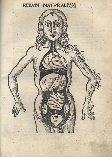      Margarita Philosophica, 1504 