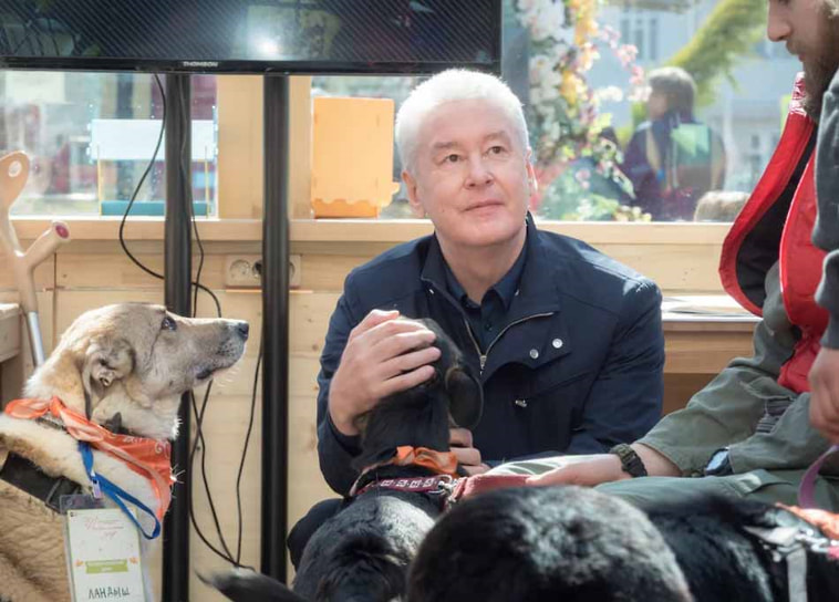 В апреле 2018 года мэр Москвы Сергей Собянин во время посещения фестиваля «Пасхальный дар» приютил собаку по кличке Джоуи. Впоследствии он сказал, что «Джоуи — это, наверное, единственное существо, которому вообще все равно, что я мэр, и ведет себя совершенно развязно, чувствует себя прекрасно»