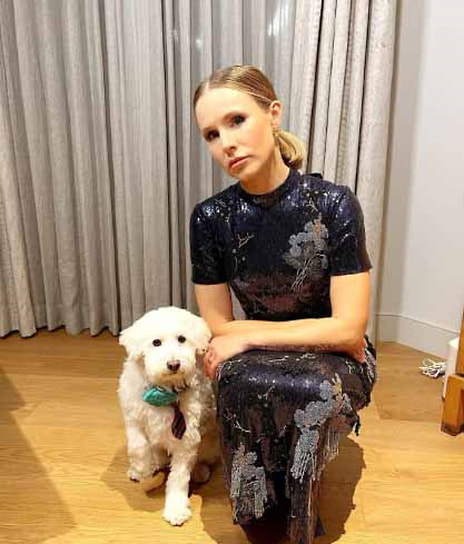 В марте 2021 года актриса Кристен Белл приютила собаку по имени Виски, потерявшую одну из лап в результате столкновения с грузовиком