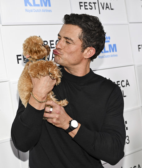 Актер Орландо Блум нашел и приютил собаку по кличке Сиди во время съемок фильма «Царство небесное» (2005)