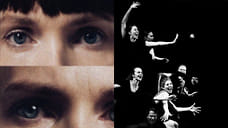 Птенцы гнезда Львова