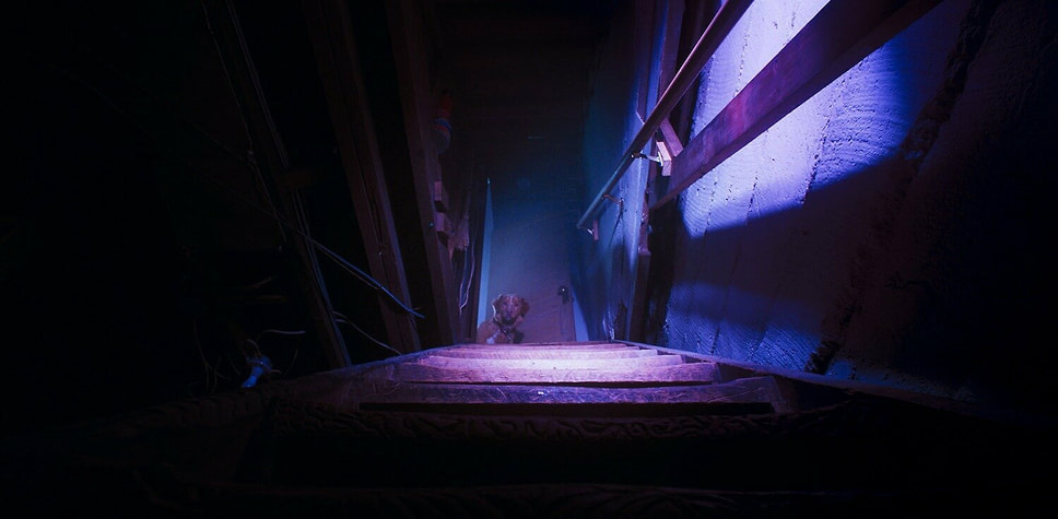 Кадр из фильма «Глазами пса», режиссер Бен Леонберг, 2025