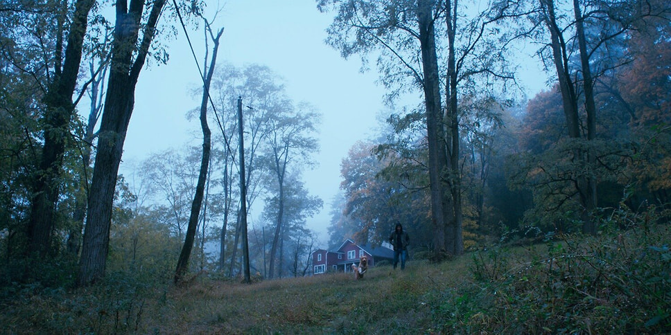 Кадр из фильма «Глазами пса», режиссер Бен Леонберг, 2025