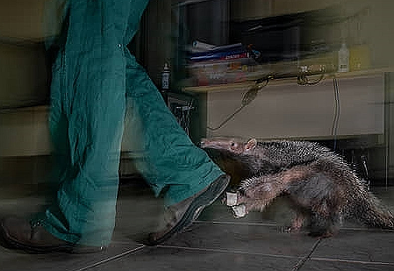 Победитель в номинации «Фотожурналистика»