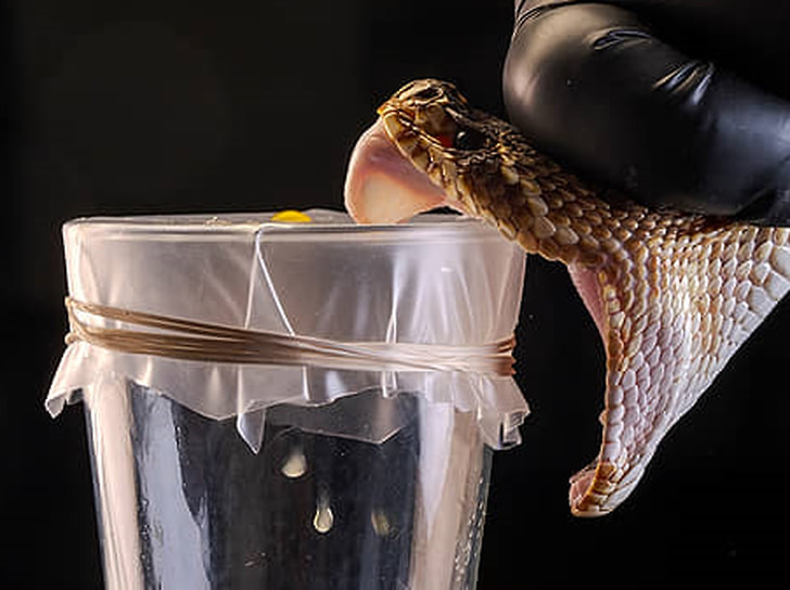 Победитель в номинации «Фотожурналистика»