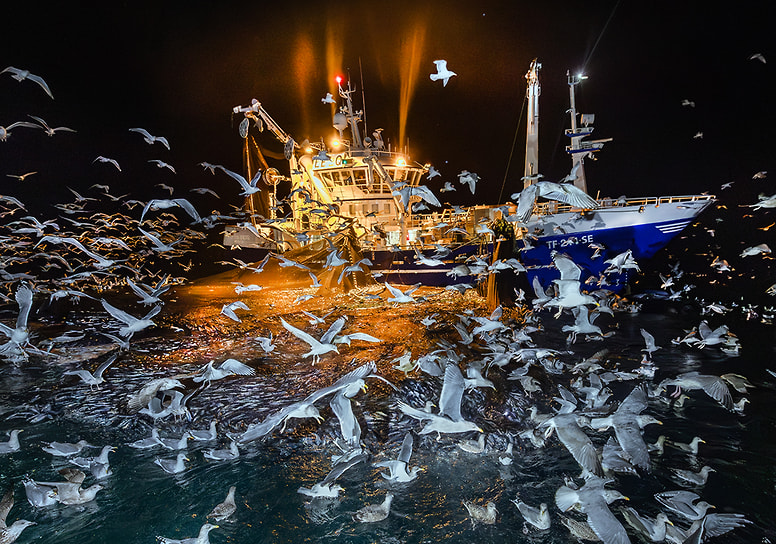 Победитель в номинации «Океаны»