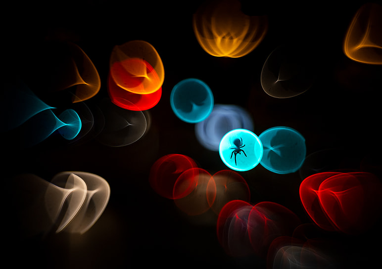 Победитель в номинации «Художественная красота природы»