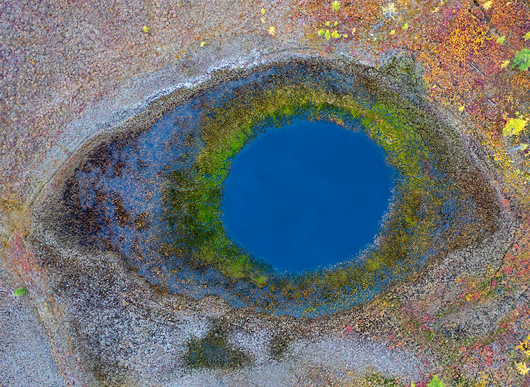 Победитель в номинации «Портфолио»