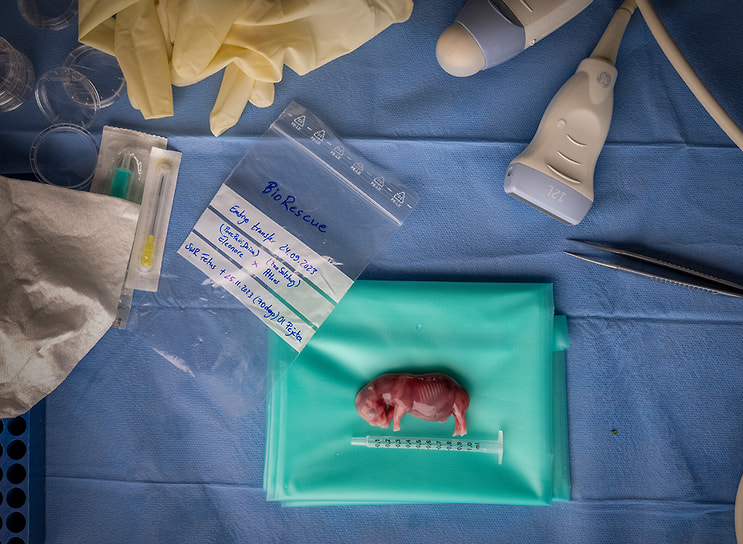 Победитель в номинации «Фотожурналистика»