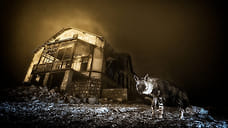 Фотоконкурс дикой природы