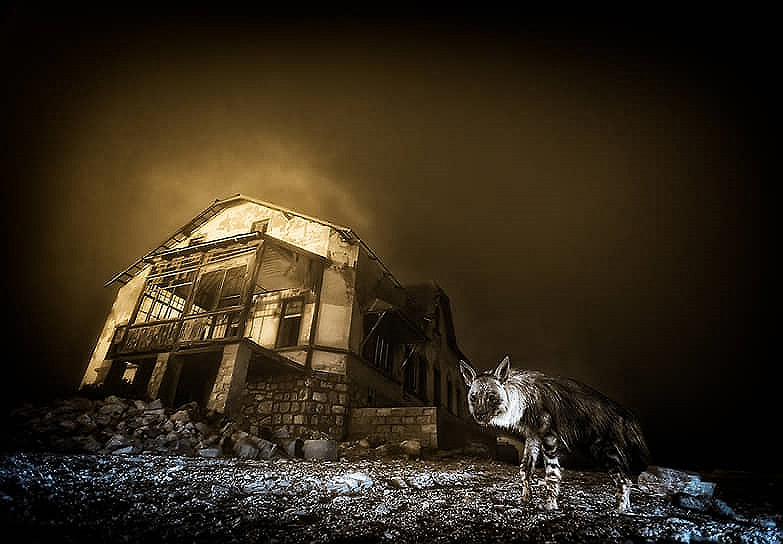 Победитель в номинациях «Фотограф года» и «Южная Африка»