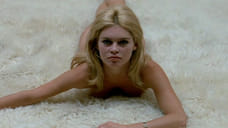 Ничто не вечно под солнцем