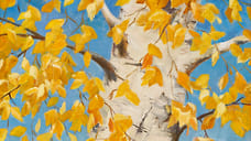 Новые материалы на сайте Weekend