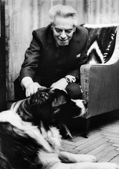 В последние годы жизни Аркадий Райкин сильно болел. Каждый выход на сцену становился для него настоящим подвигом. Артист умер 17 декабря 1987 года в возрасте 76 лет от последствий ревмокардита