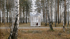 Расцвела «Теплица»