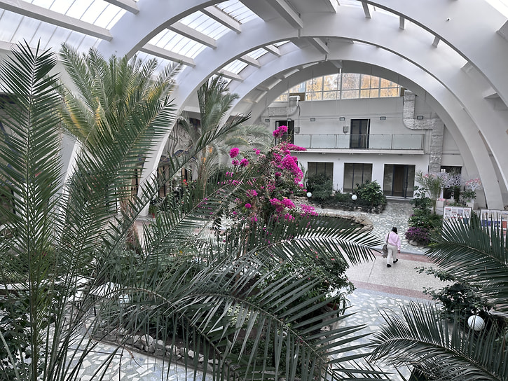 Зимний сад в Центре культуры и искусств в Рефтинском