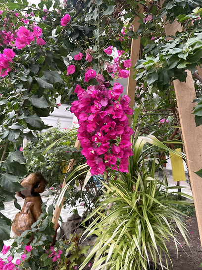 Зимний сад в Центре культуры и искусств в Рефтинском