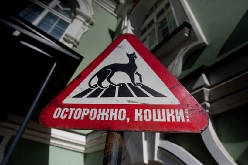 Знак «Осторожно, кошки!» установлен во дворах Эрмитажа