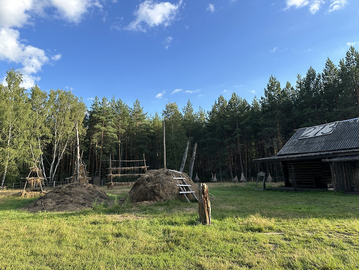 Кордон 273 в Мещёрском лесу, Рязанская область