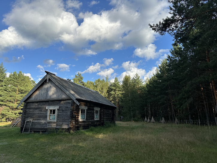 Кордон 273 в Мещёрском лесу, Рязанская область