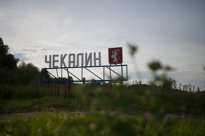 На гербе города изображен восстающий горностаевый лев с золотым языком и когтями