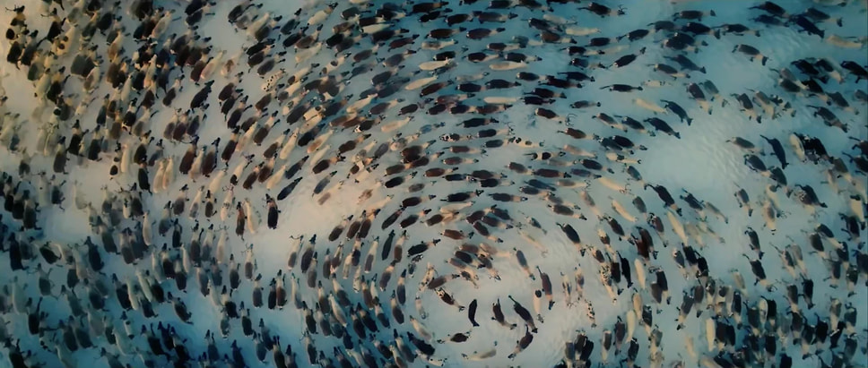 Кадр из фильма «Пуанты для моей мамы», режиссер Яна Недзвецкая, 2024