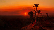 Выход в свет