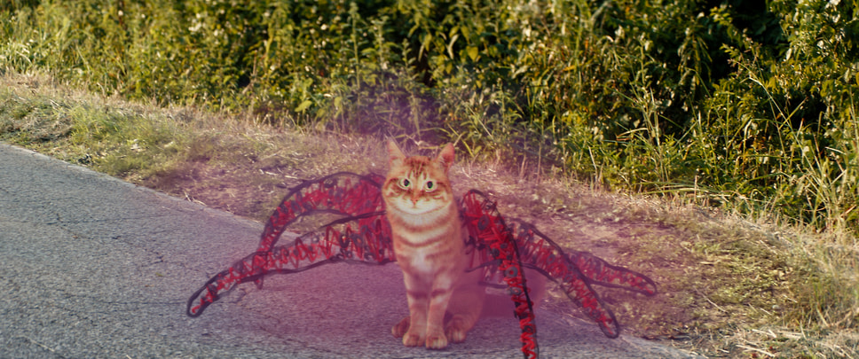 Кадр из фильма «Ужастики. Ожившие рисунки», режиссер Сет Уорли, 2024