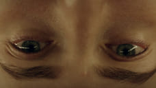 Это все мое, родное