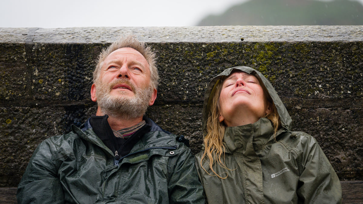 Все то золото, что блестит